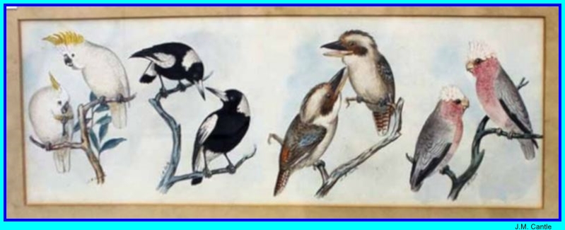 J.M. Cantle Bird Pairs 1